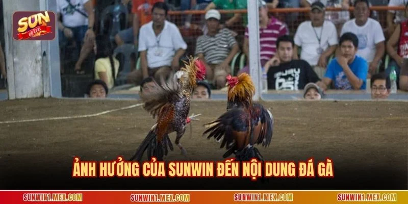 Ảnh hưởng của Sunwin đến nội dung đá gà