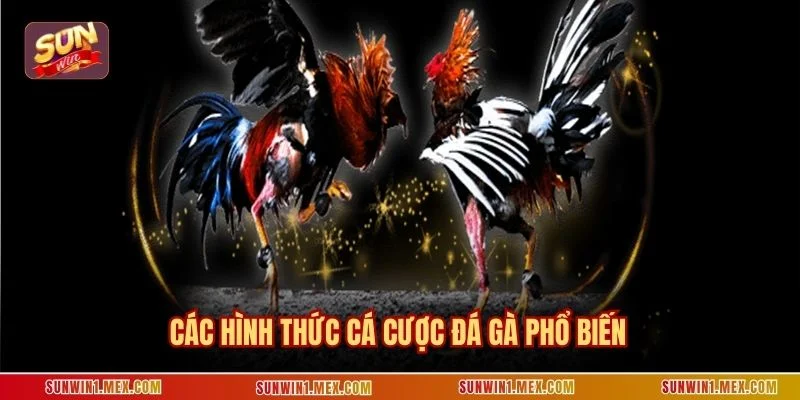 Các hình thức cá cược đá gà phổ biến