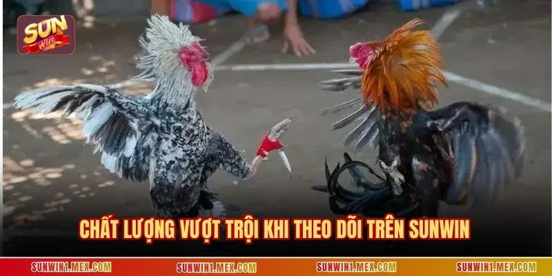 Chất lượng vượt trội khi theo dõi trên Sunwin