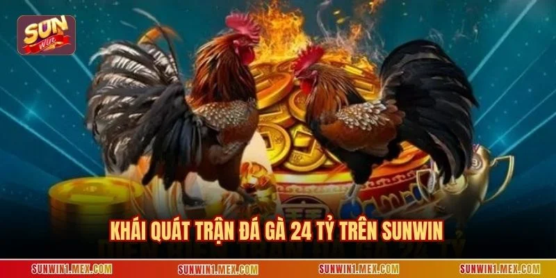 Khái quát trận đá gà 24 tỷ trên Sunwin