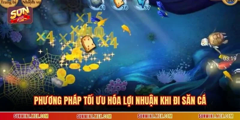 Phương pháp tối ưu hóa lợi nhuận khi đi săn cá