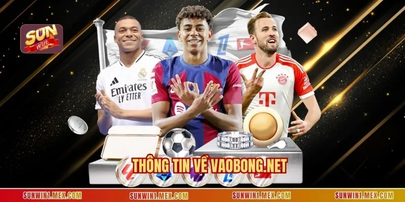 Thông tin về Vaobong.net