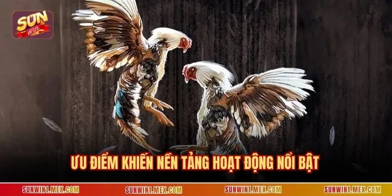 Ưu điểm khiến nền tảng hoạt động nổi bật