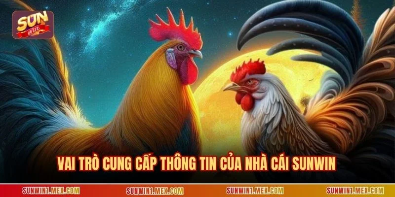 Vai trò cung cấp thông tin của nhà cái Sunwin
