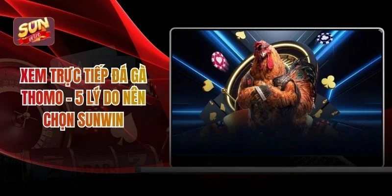 Xem trực tiếp đá gà Thomo